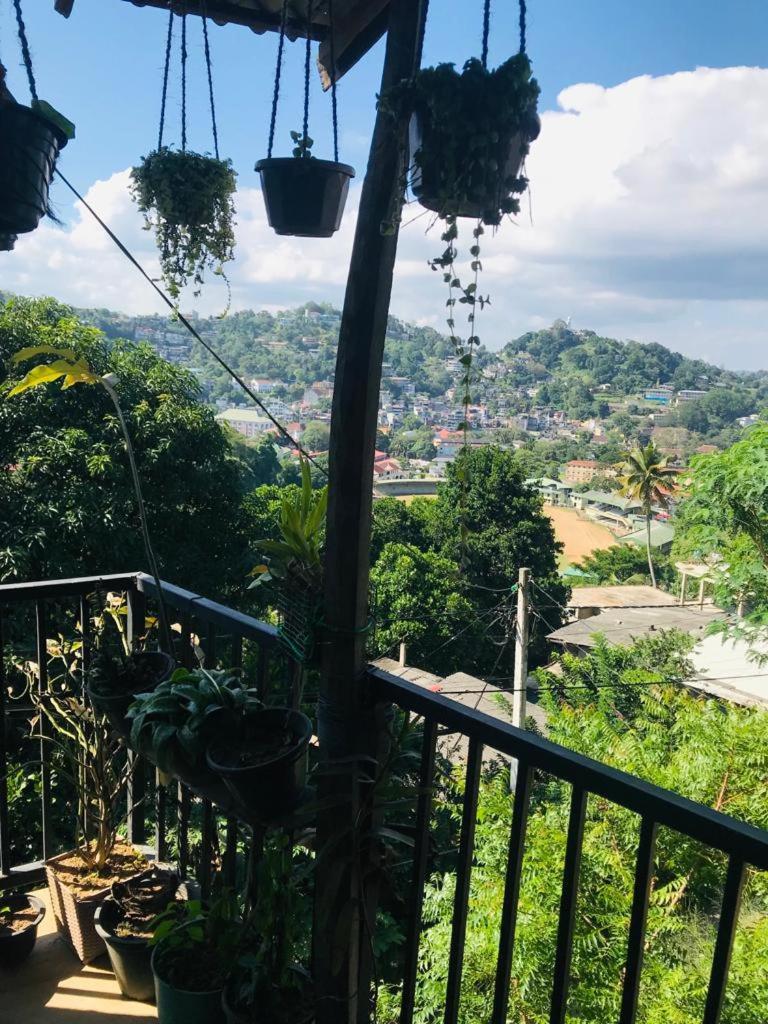 Sky Kandy